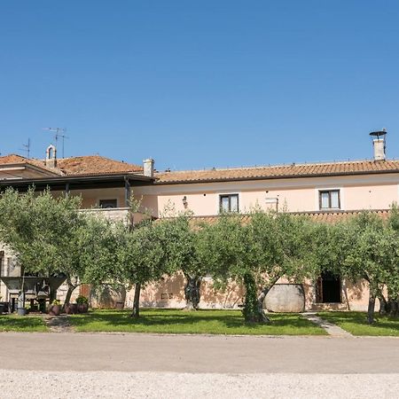 Bb Olive Bed and Breakfast Seget  Exteriör bild