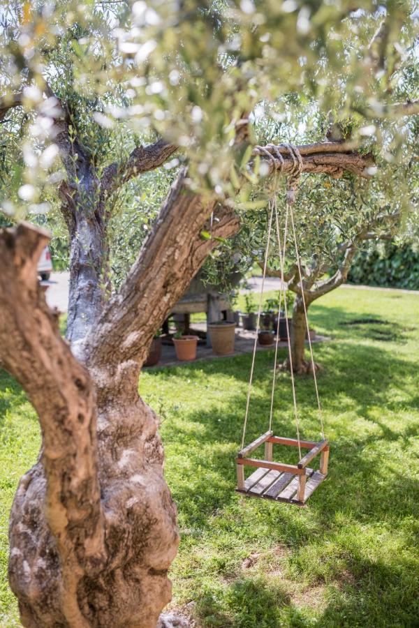 Bb Olive Bed and Breakfast Seget  Exteriör bild